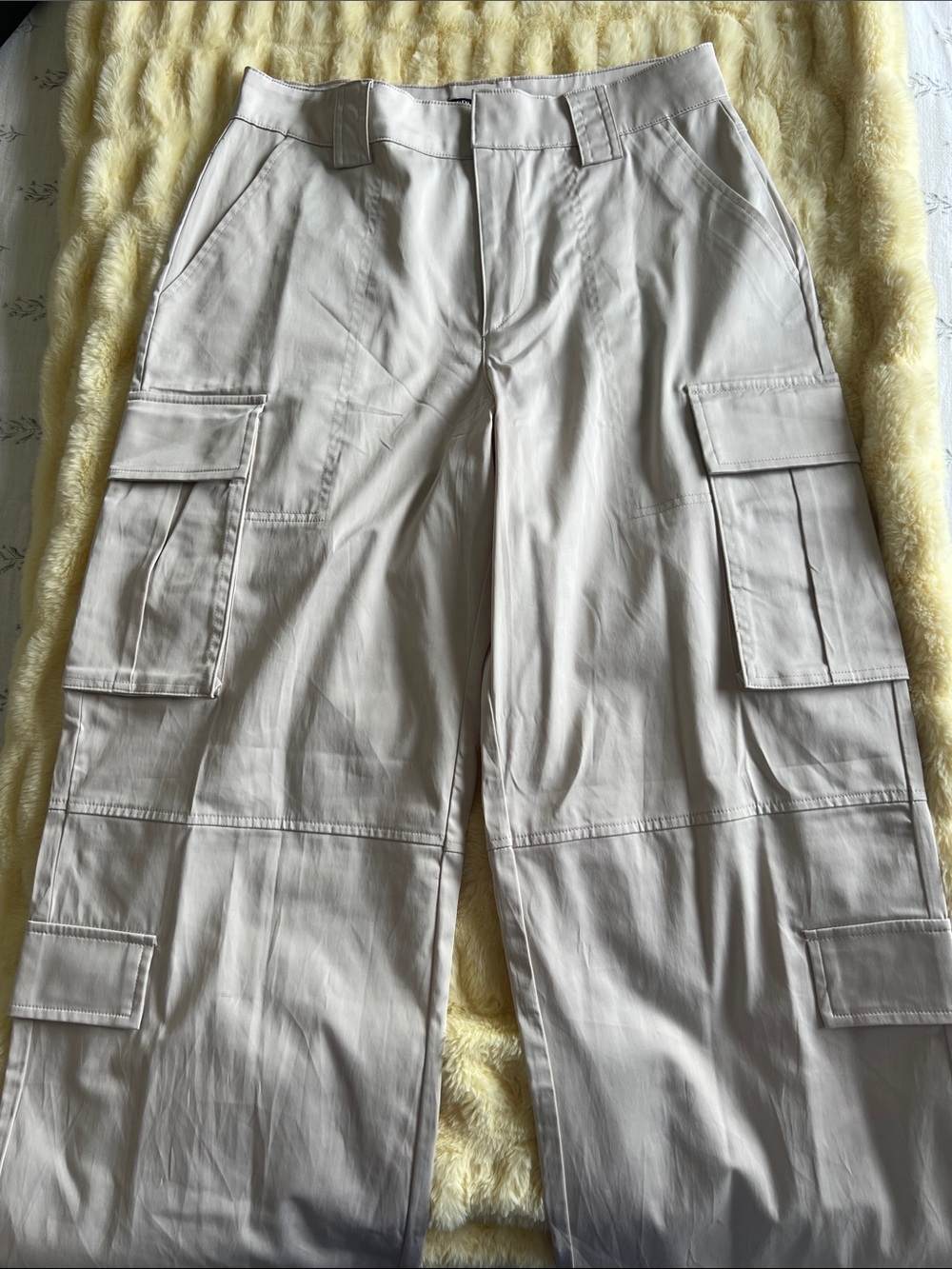 Zara Satin Champagne Cargo Pants